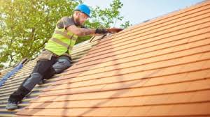 Best Cold Roofs  in Pinellas Park, FL
