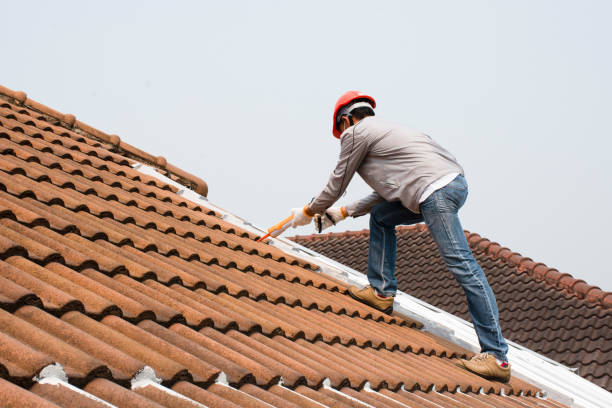 Best Roof Ventilation Installation  in Pinellas Park, FL