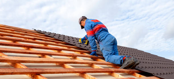 Best Rubber Roofing (EPDM, TPO)  in Pinellas Park, FL