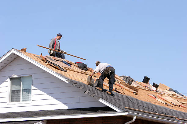 Best Roof Coating and Sealing  in Pinellas Park, FL